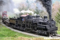 Shay型（谢式）蒸汽机车的往事与蒸汽动力模型